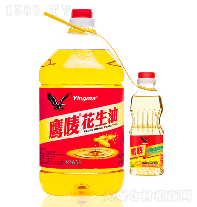 O 5ʳ{300 퉺ե ʳ  
