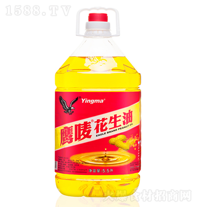 O  퉺ե ʳ   5.5