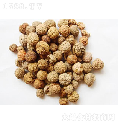 쿵 ݶޢ N{(dio)ζ {(dio)ζƷ {(dio)ζ 