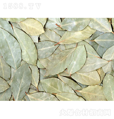 쿵 ~ N{ζ {ζƷ {ζ 