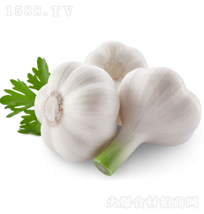 港陽蒜粉精-添加劑-調味品-調味添香