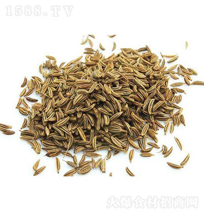 ǝ¡Ȼ {(dio)ζ   \д