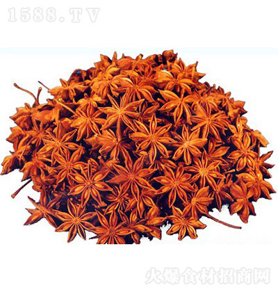 ǝ¡˽ {(dio)ζ   \д