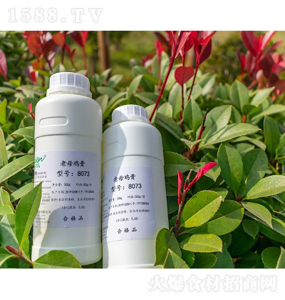 iζ㾫 {(dio)ζ  \д