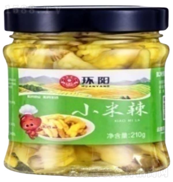 ꖹ ƿbG210g
