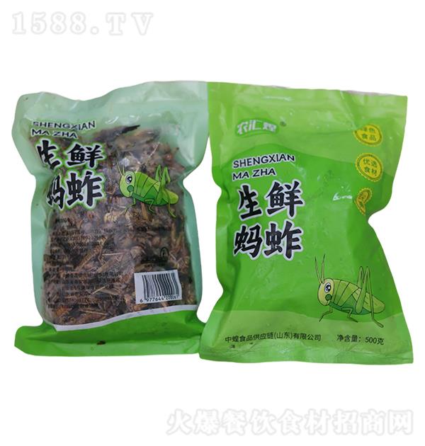 л rΛ500g