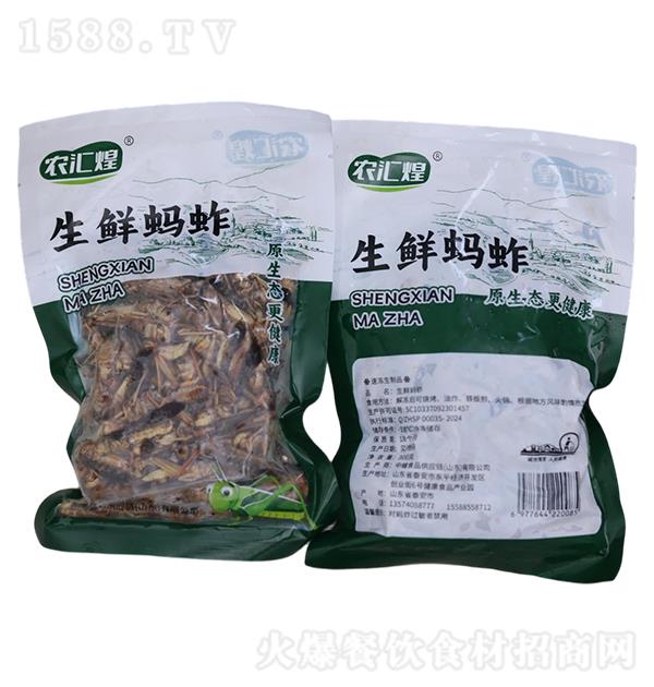 л rΛ300g