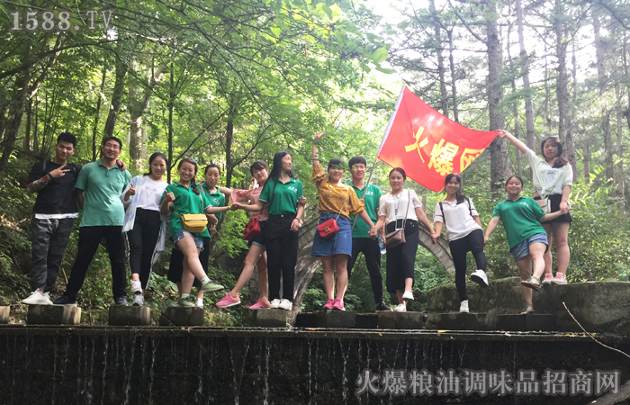 立足,旗幟飛揚(yáng)