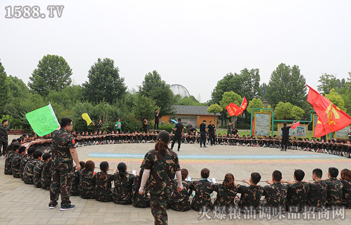 十年火爆網(wǎng),從“心”再出發(fā)