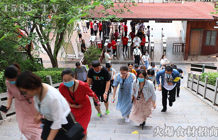 以夢為馬,不負韶華