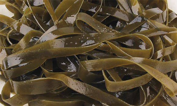 海之佳-寬葉海帶120g