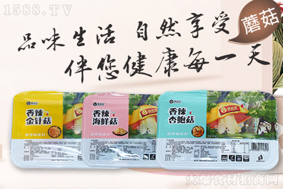 ´ѹ¡dʳƷף옷ϲBB