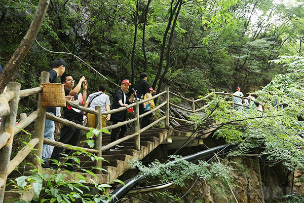 為而不爭——老君山之行感悟