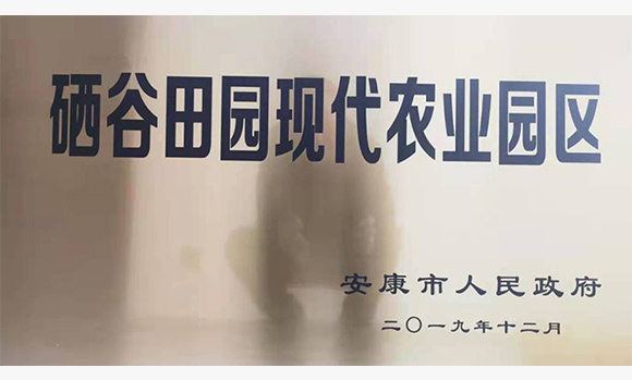 魔太太 魔芋涼皮 麻醬味 涼拌美味 魔芋制品