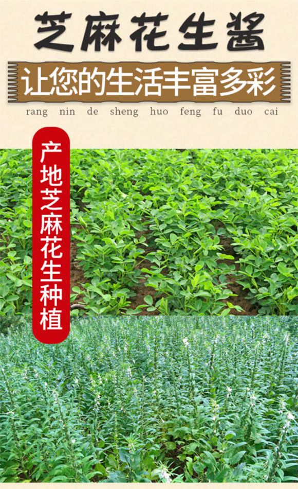 豐彩芝麻花生醬200g 芝麻醬 調味醬 火鍋蘸醬蘸料