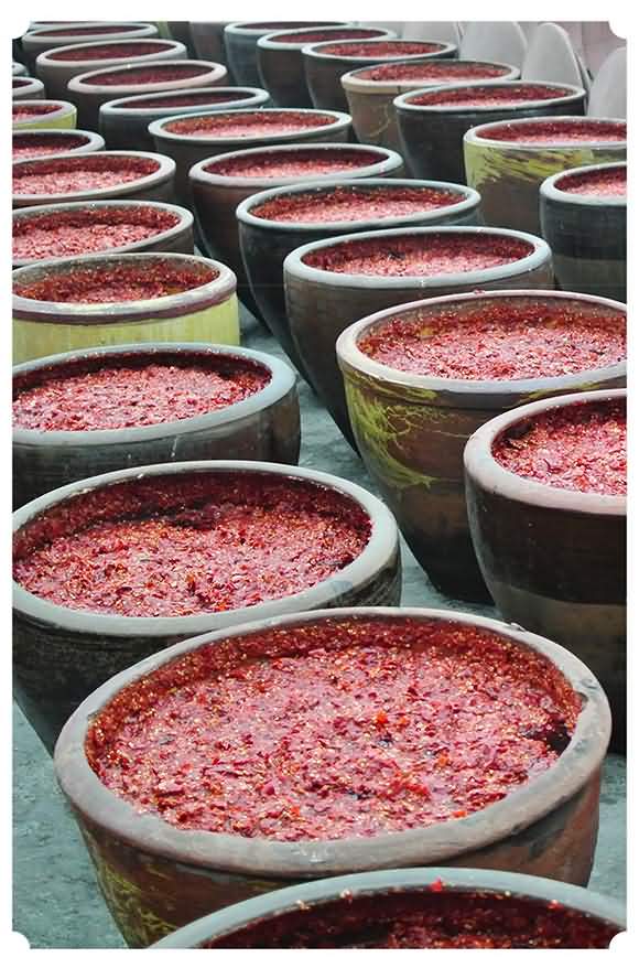 川西郫城牌 紅油豆瓣 香辣自制家用小瓶裝豆瓣 炒菜調味醬辣椒醬 1kg